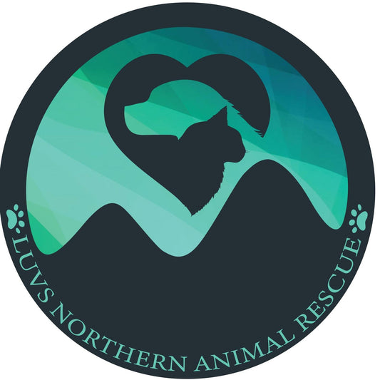 Luv for Paws Night Market FUNDRAISER